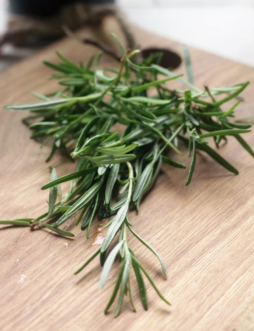 rosemary, herbs, green, nature, spice, garden, plants, vegetation, rosemary, rosemary, rosemary, rosemary, rosemary