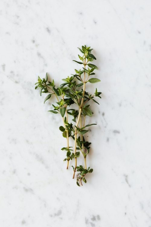 From above of green plant thyme branches placed on white table with gray dots spice for preparing healthy salad in kitchen